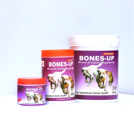 Bones-Up – Mineral & Vitamin Supplement