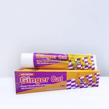 Ginger Cat – Energy & Essential Fatty Acid Supplement with Arachidonic acid & DHA