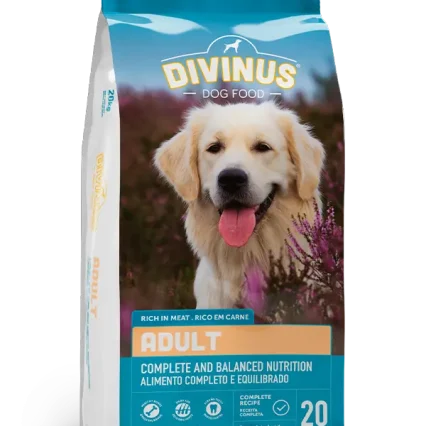 DIVINUS ADULT