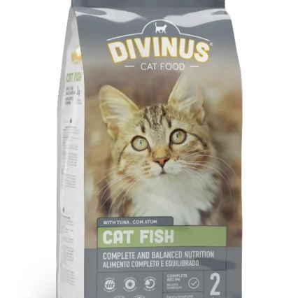 DIVINUS CAT FISH