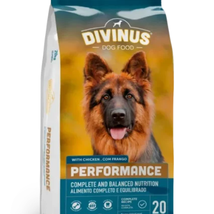 DIVINUS DOG PERFORMANCE