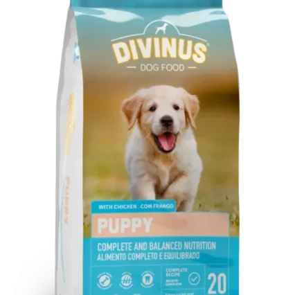 DIVINUS PUPPY