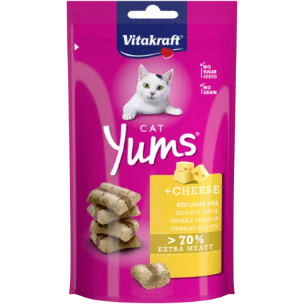 CAT YUMS CHEESE